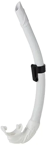 Corsica Snorkel