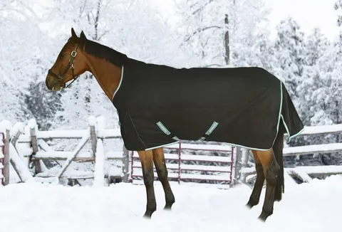 Bonum 1200D Ripstop Turnout Blanket (220 GSM Medium, High Neck)