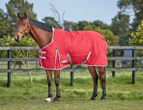 ComFiTec Classic Standard Neck Turnout Blanket (220g Medium)