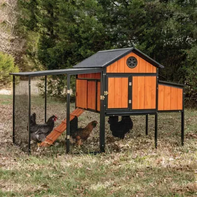 Producer's Pride Sentinel Chicken Coop (6-Chicken)
