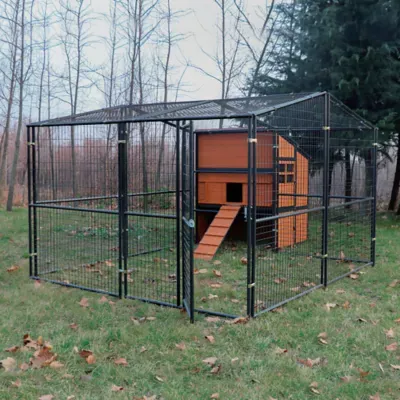 Producer's Pride Defender Extra-Large Chicken Coop
