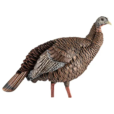 HDR Hen Turkey Decoy