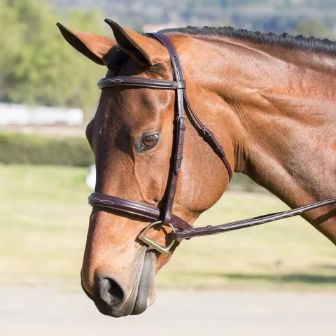 Fancy Stitch Raised Padded Bridle