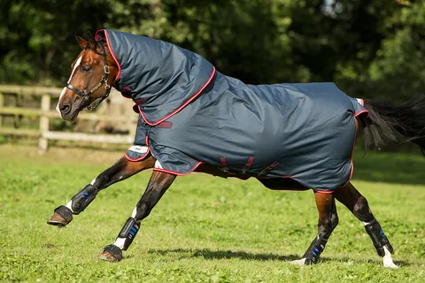 Amigo Bravo 12 Plus Turnout Blanket (250g Medium)