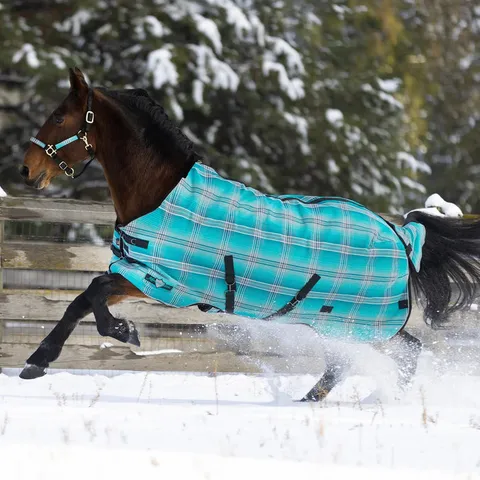 All Around Textilene Turnout Blanket