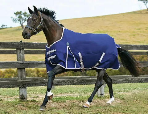ComFiTec Essential Standard Neck Turnout Blanket