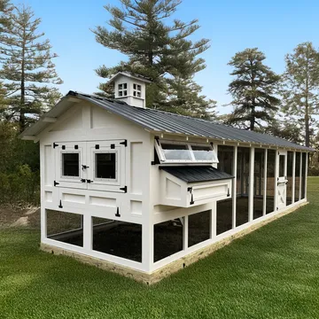 American Coop (Walk-In with Covered Run)