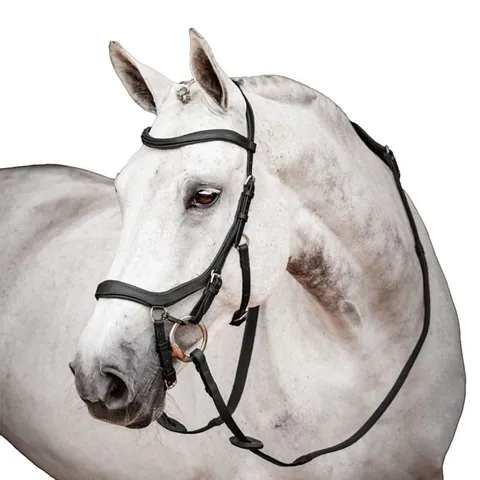 Micklem 2 Competition Bridle