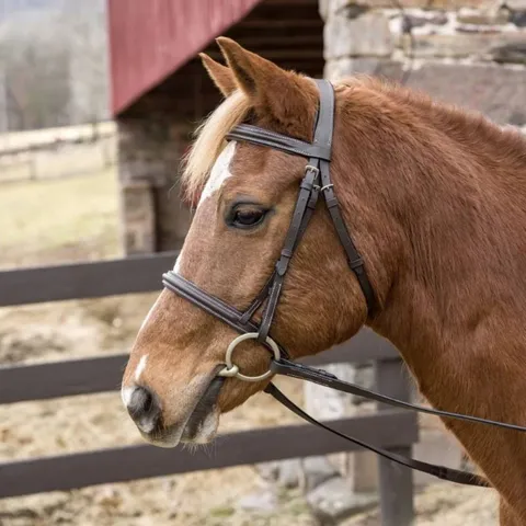 Pro Mono Crown Padded Bridle with Laced Reins