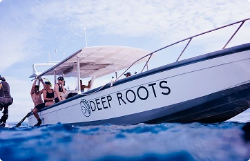 Deep Roots dive boat on the water