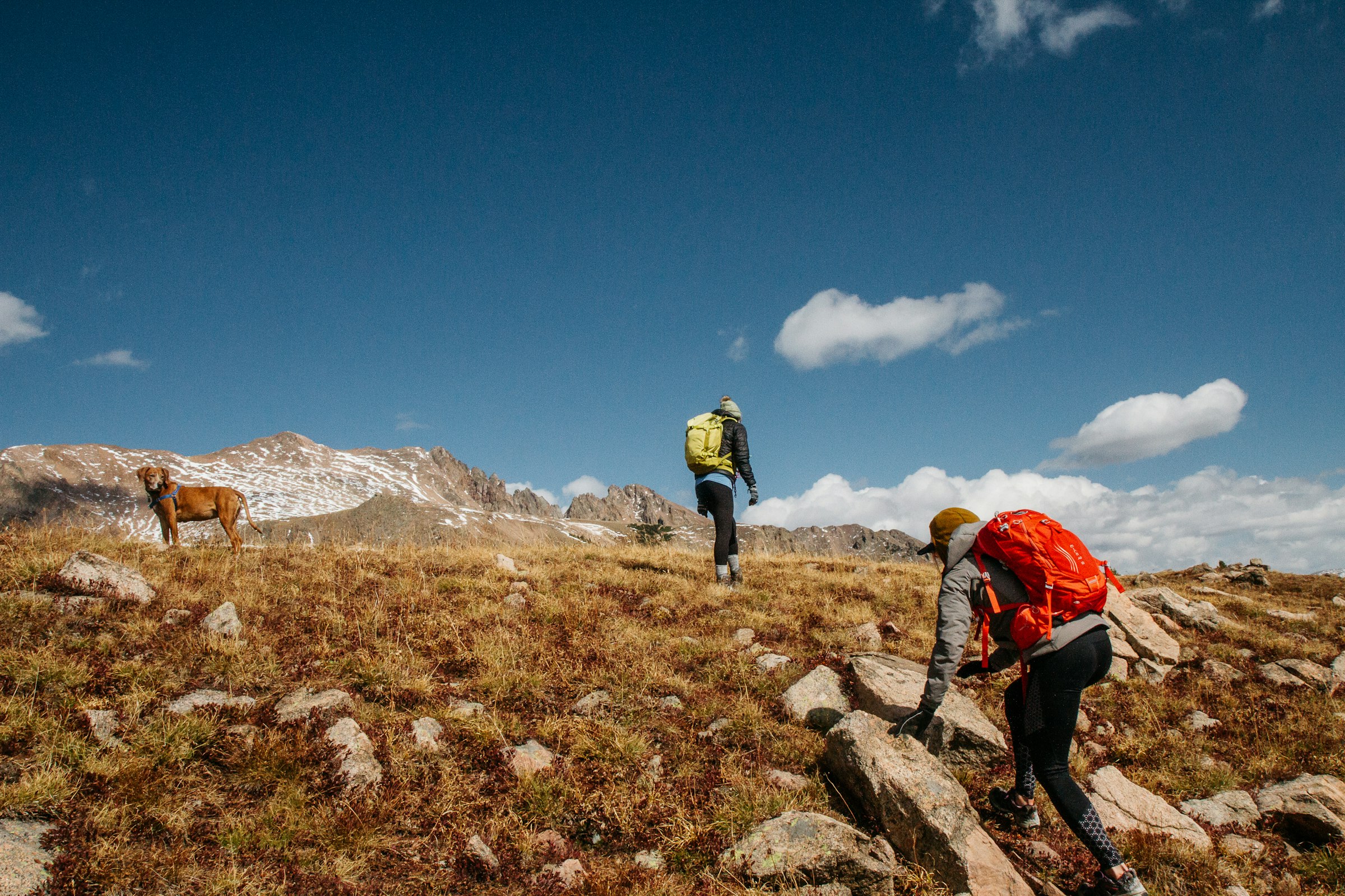 Alpine Traverse: 4 Days