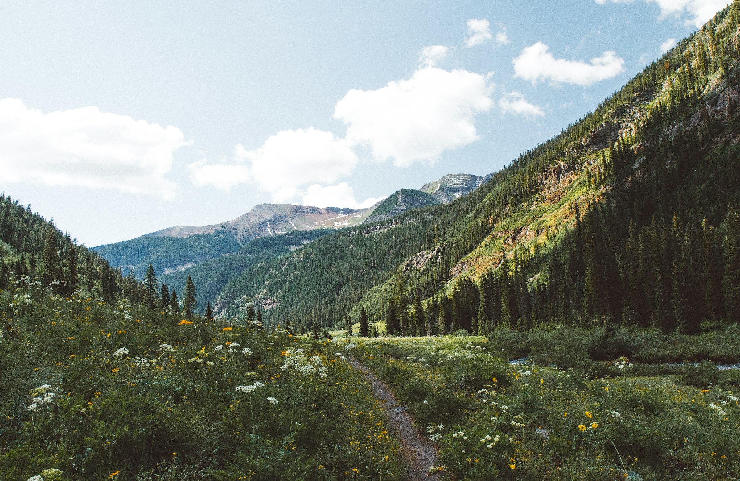 The trail up a high valley in July