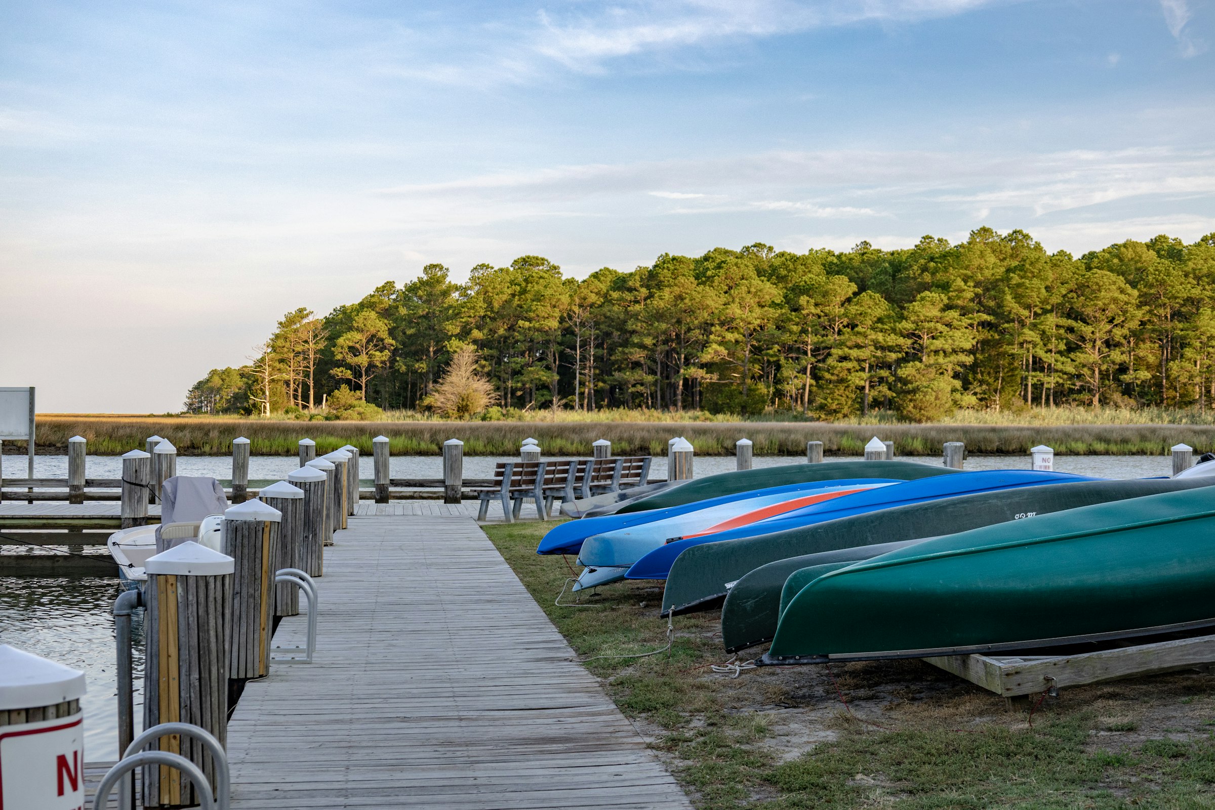 Rental boats on the dock along the pine shoreline