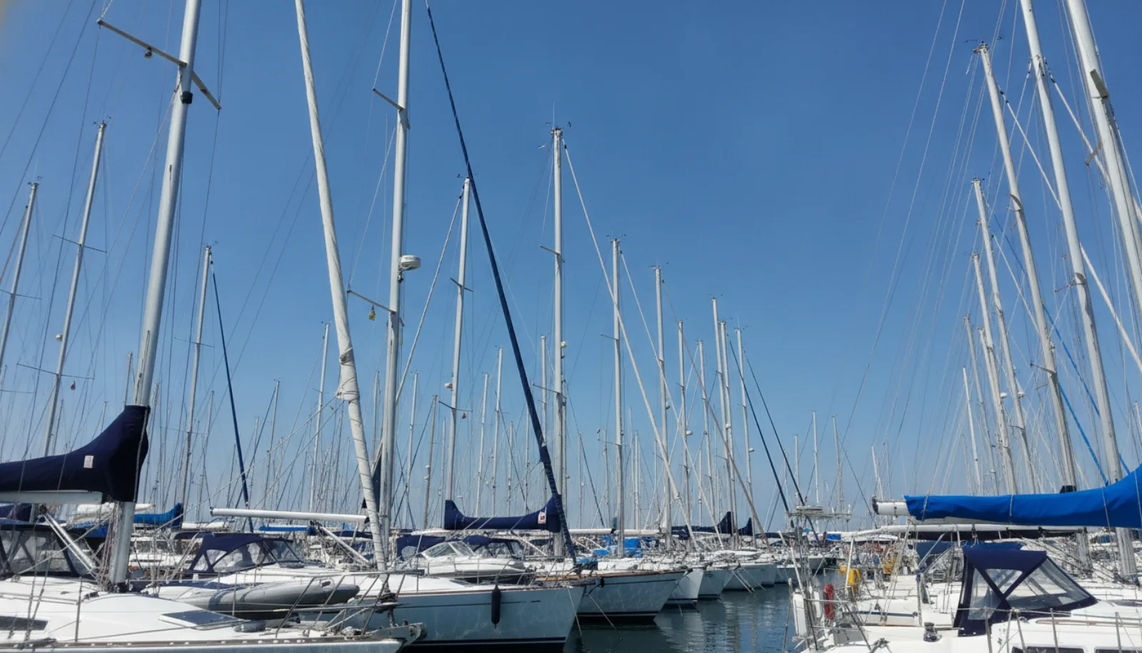 Masts over the outer pier