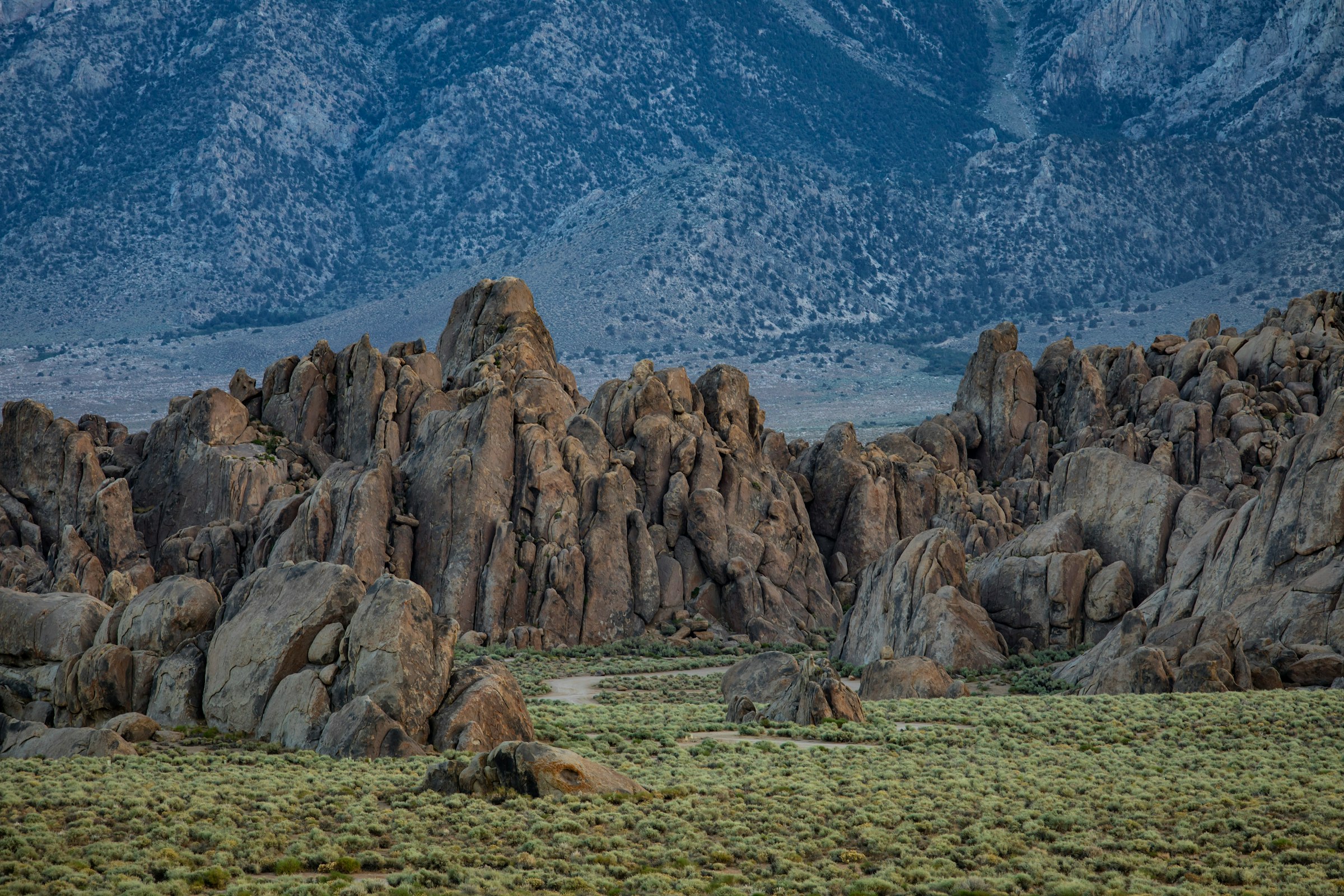 The boulder field under the Sierra wall