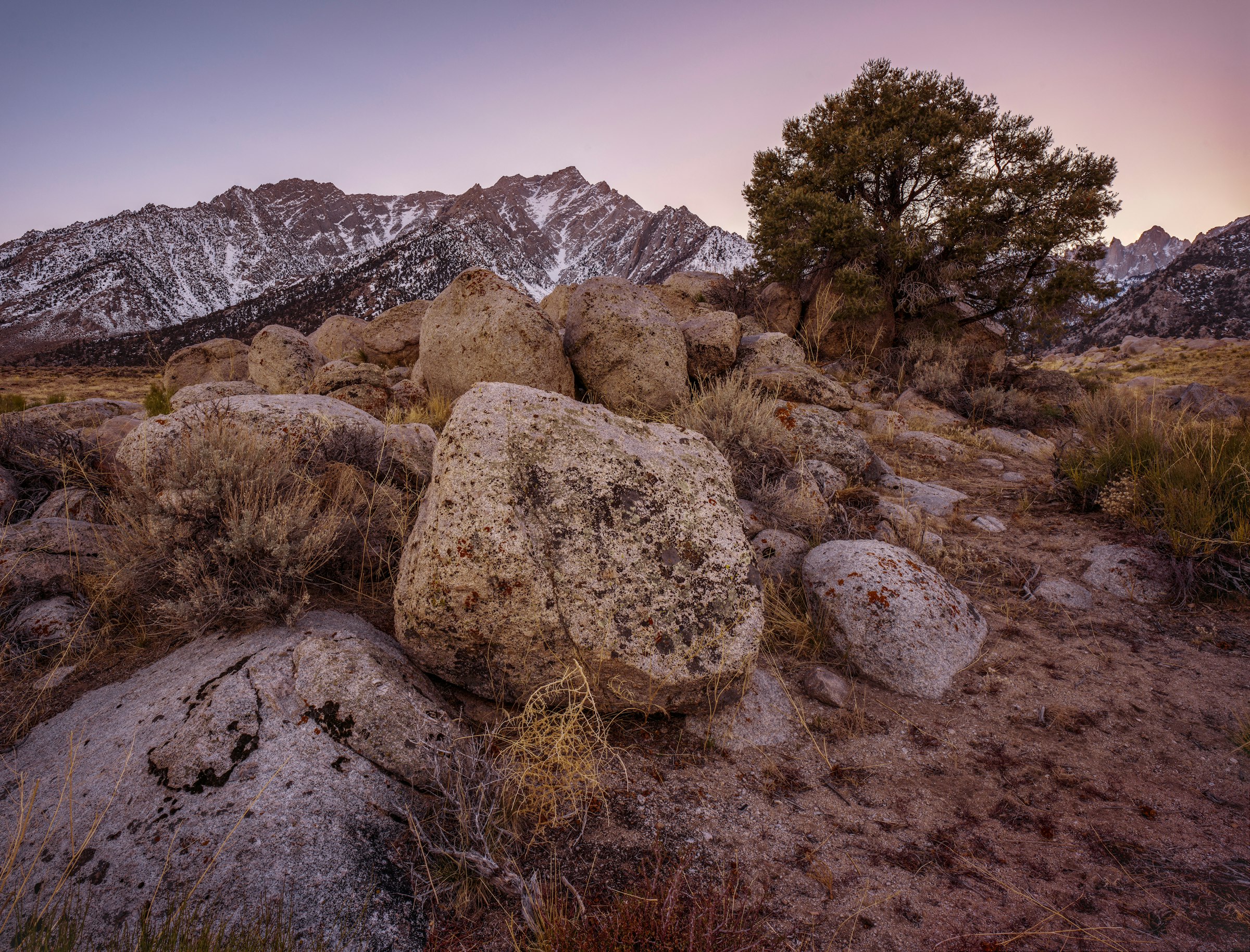A boulder in the sage below the snowy crest