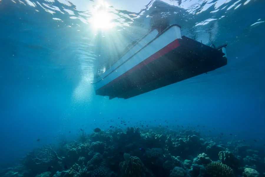 Snorkelers can ride along