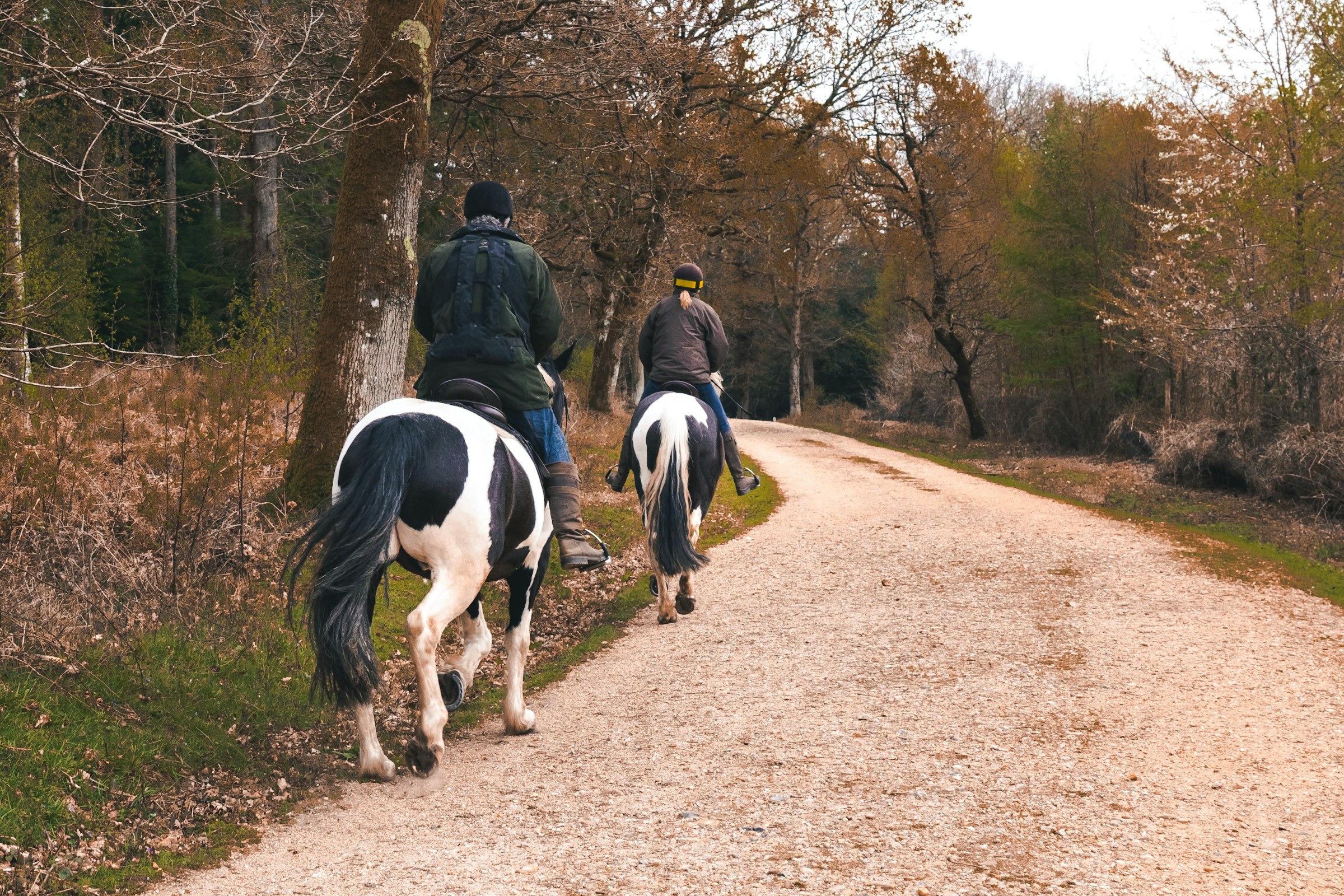 Guided Trail Ride