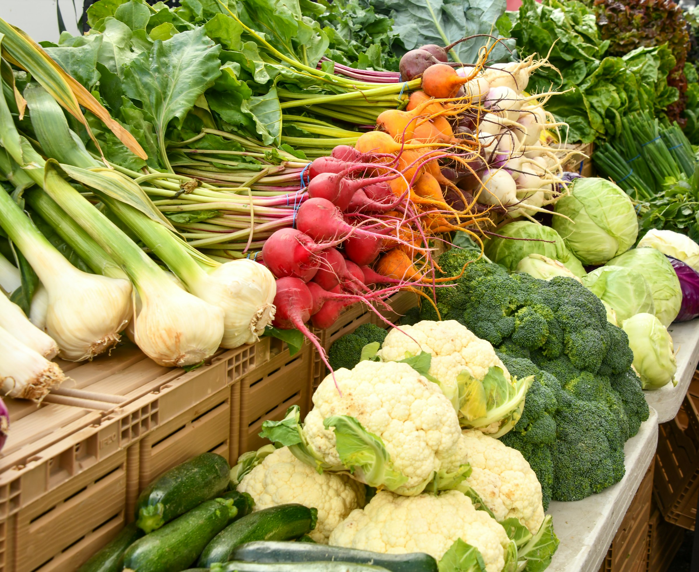 Farm Tour & Tasting