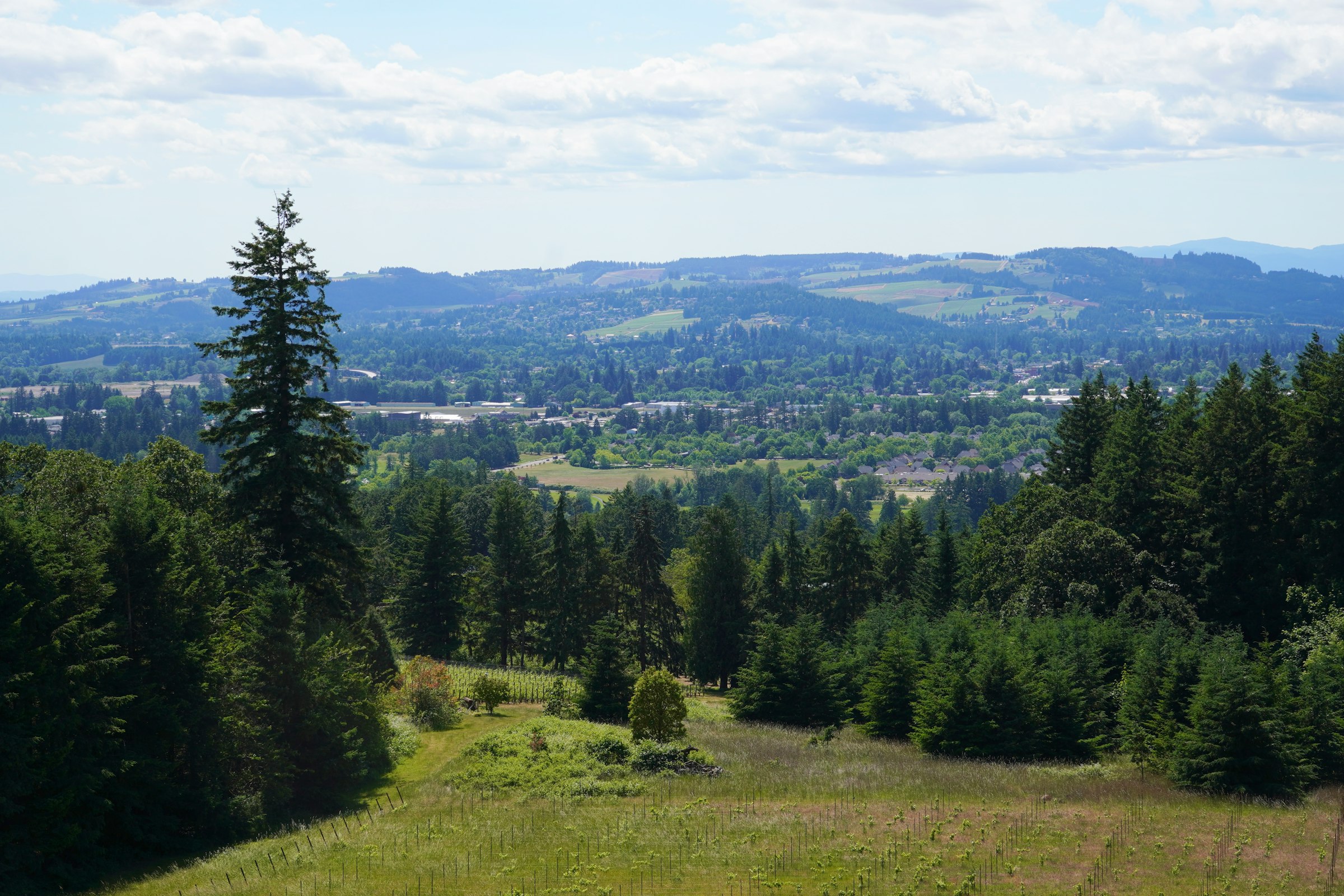 The valley from the hill above the farm