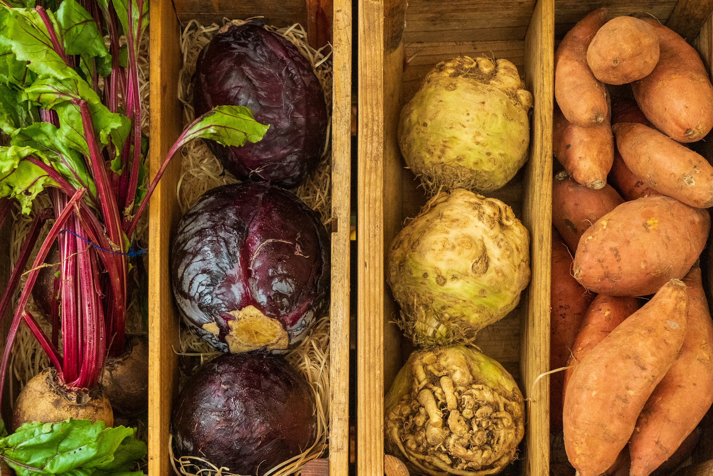 Beets, cabbage and celeriac in crates for the share