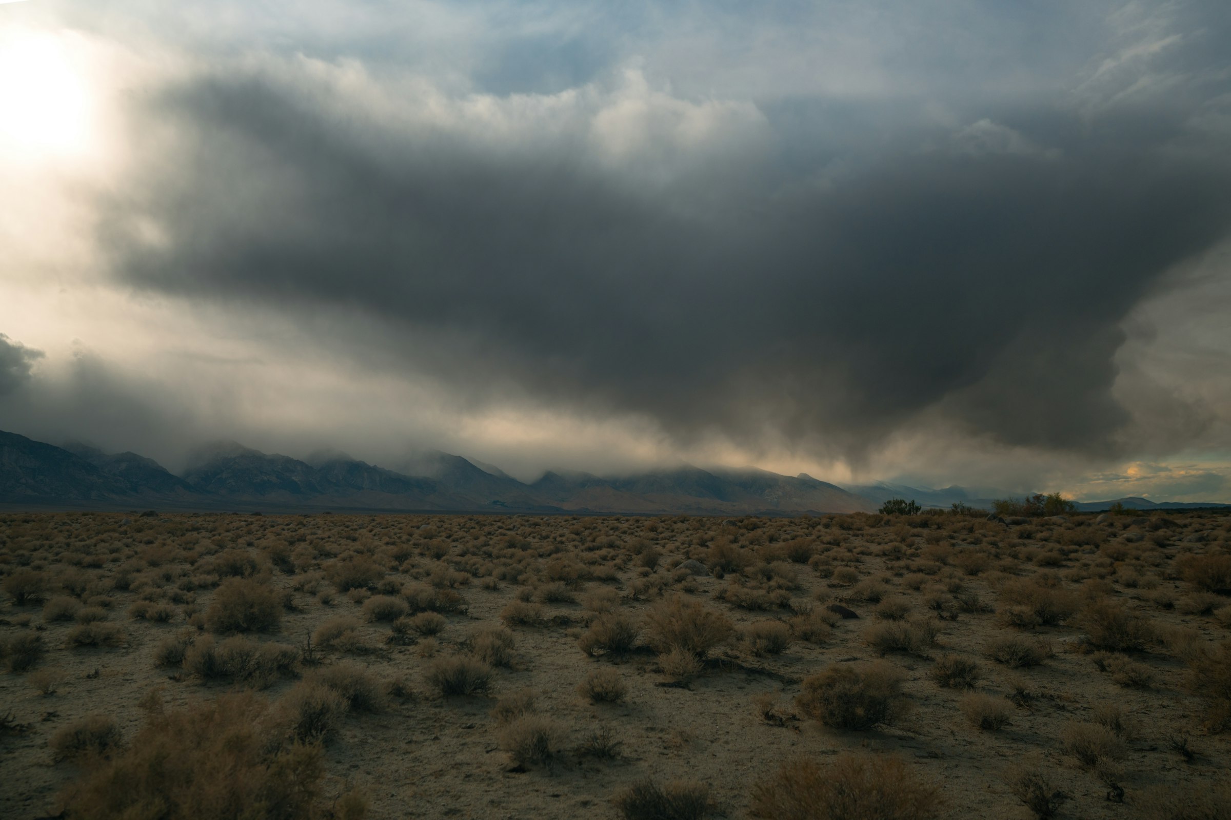 A storm building over the scrub in August