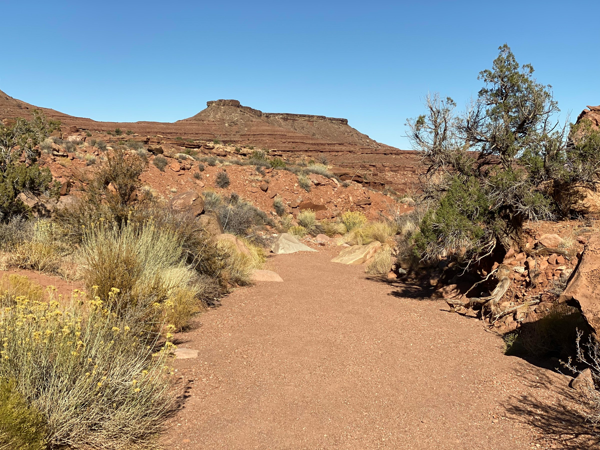 The trail out of the staging area toward the mesa