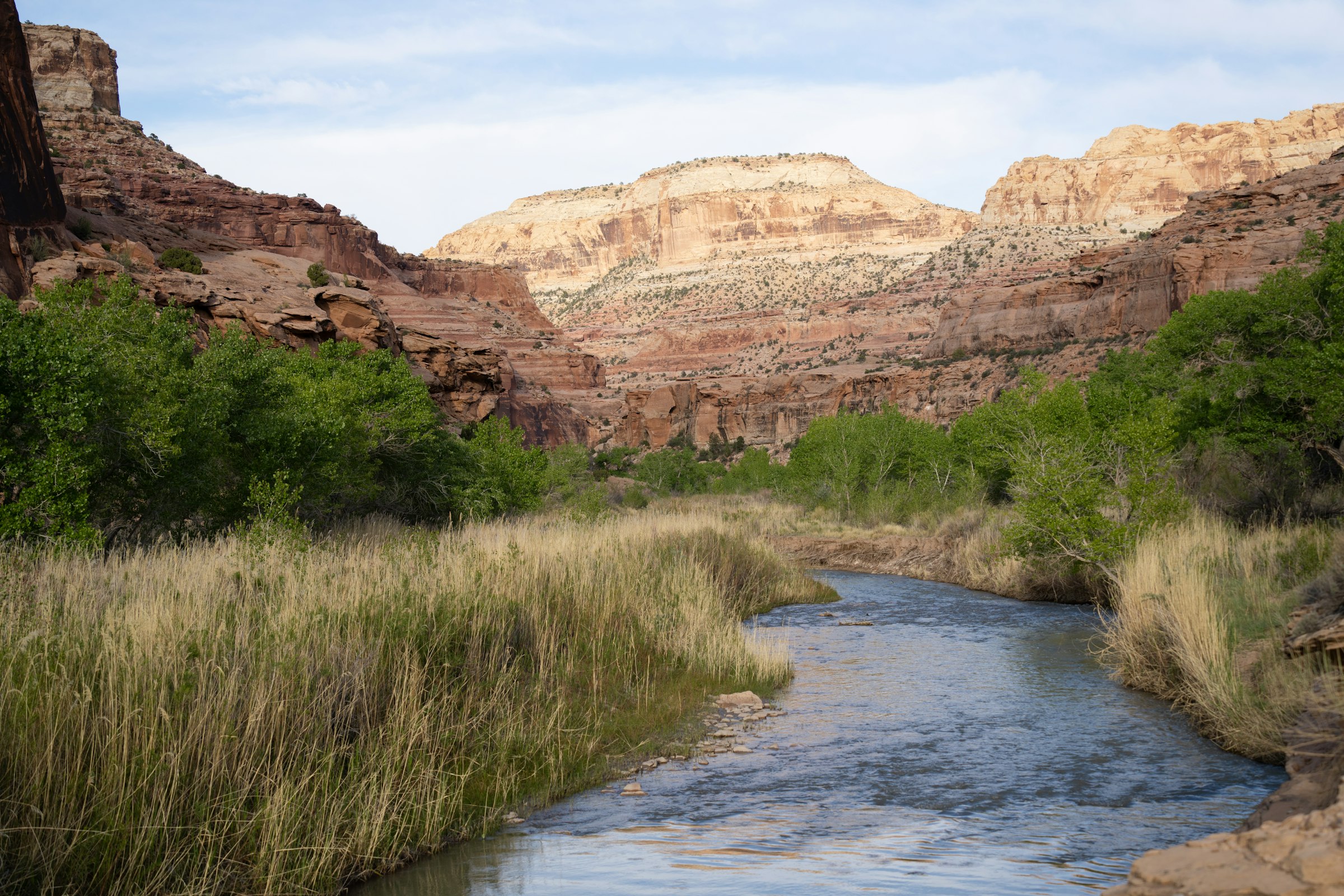 The river trail out the back gate