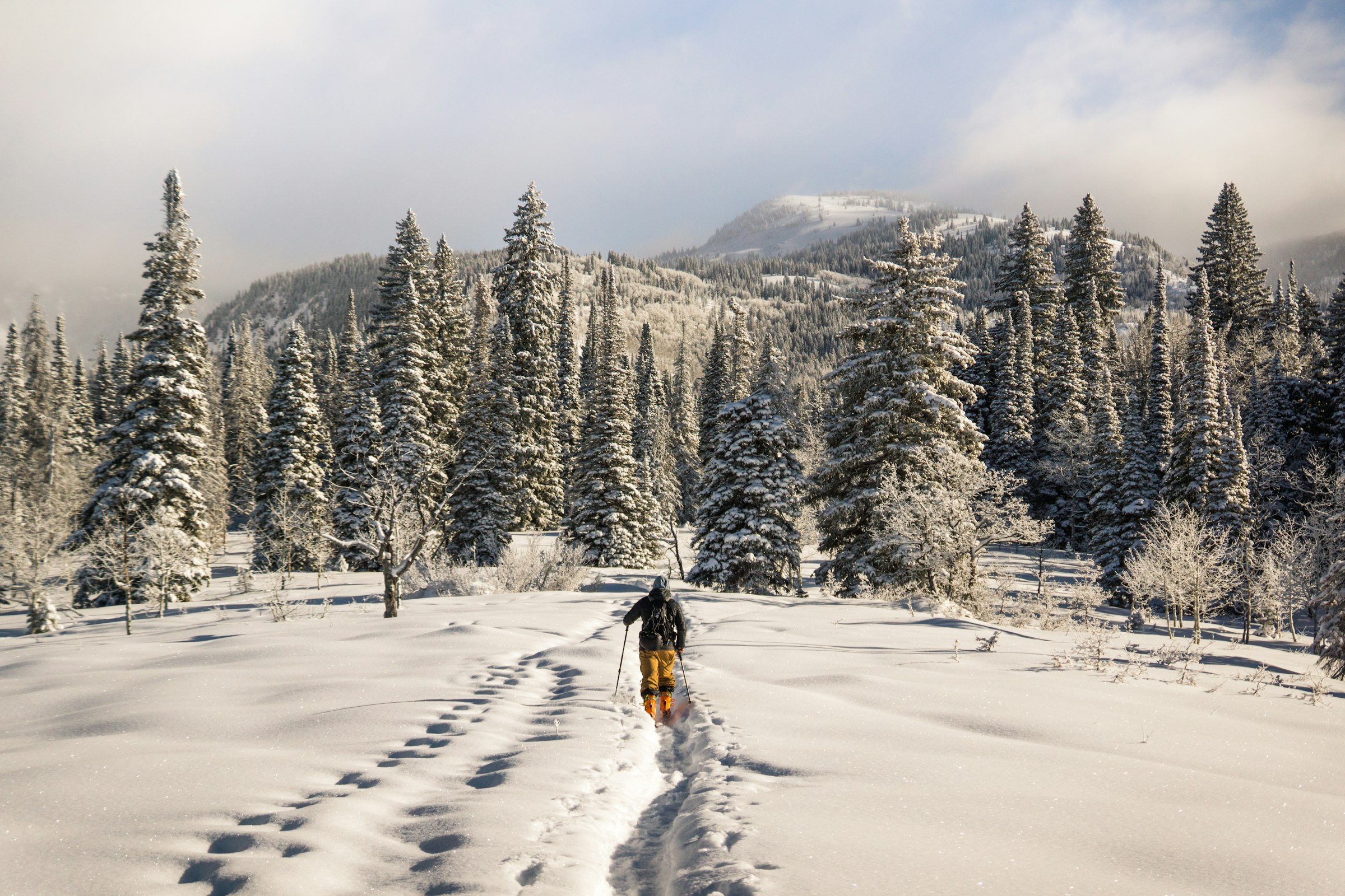 Backcountry Guided Tour