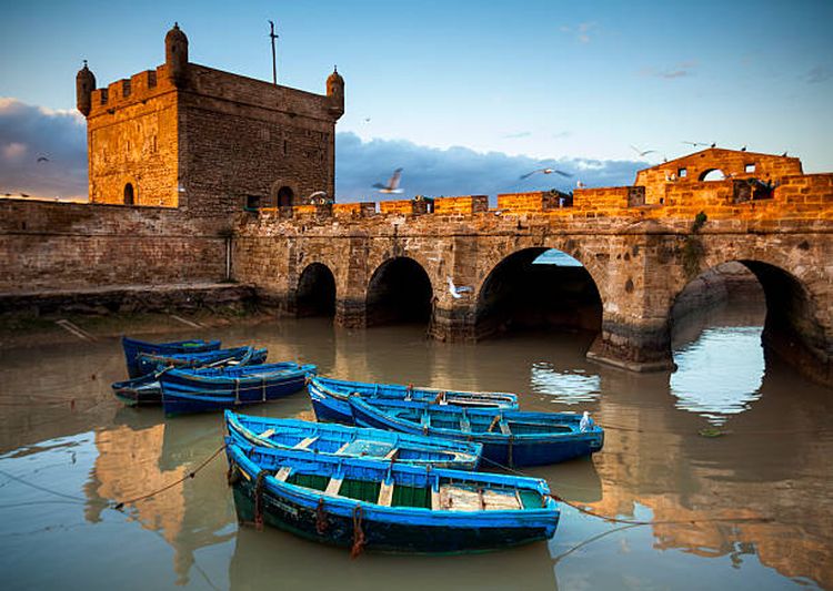 Marrakech To Essaouira Day Trip