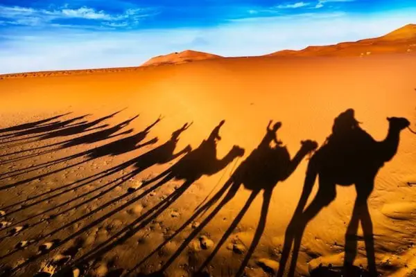 Sahara Desert Crew