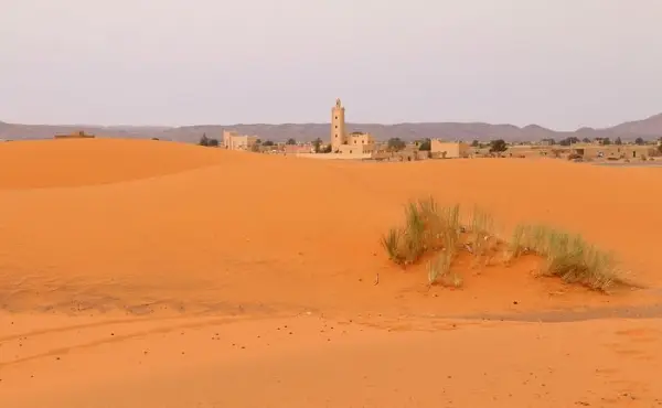 Sahara Desert Crew