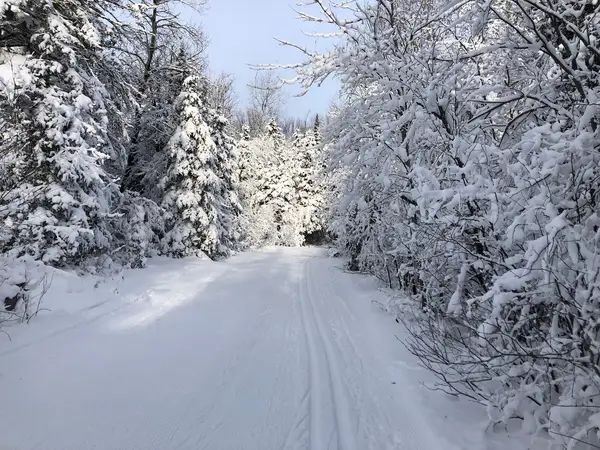 ABR Trails Foundation