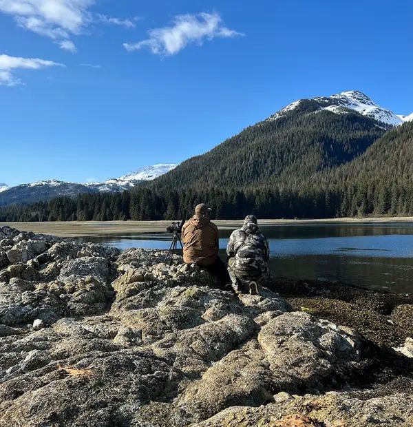 Alaska Raven Guides