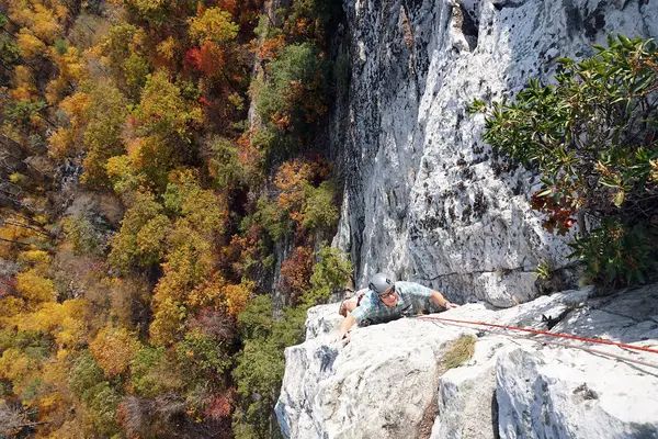 Alpine Endeavors LLC