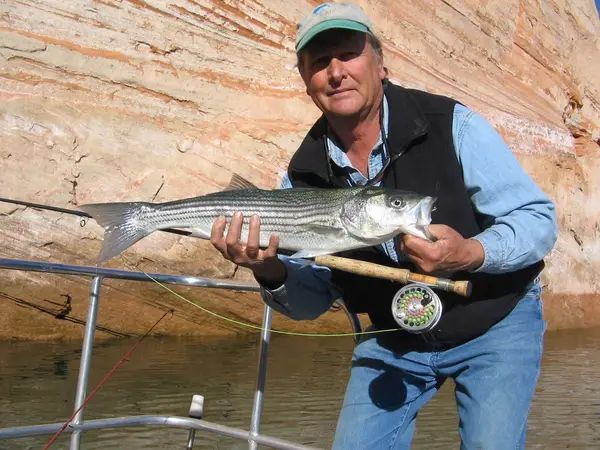 Ambassador Guides & Outfitters, Inc.