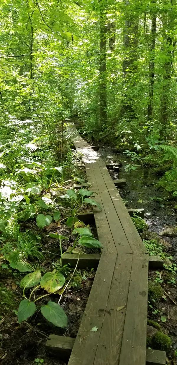 Arcadia Management Area OHV Trails