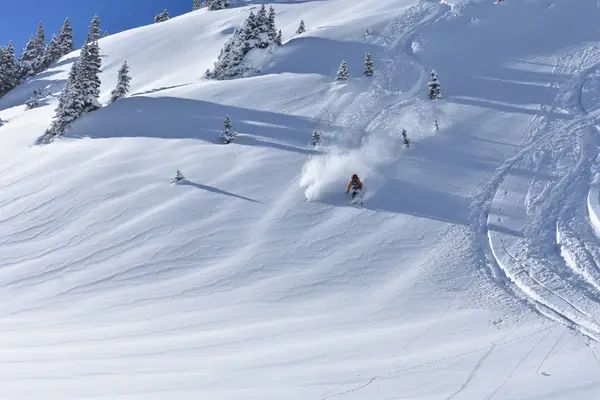 Aspen Expeditions Worldwide