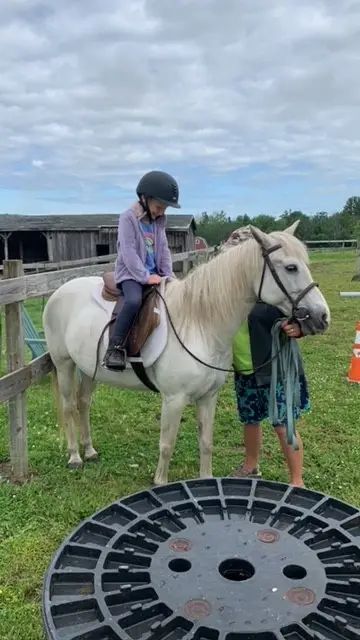 Avalon Teaching Farm, L3C