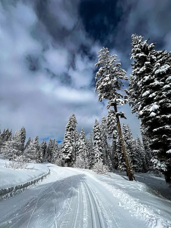 Bear Basin Nordic Center