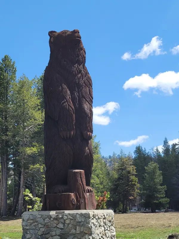Bear Valley Cross Country