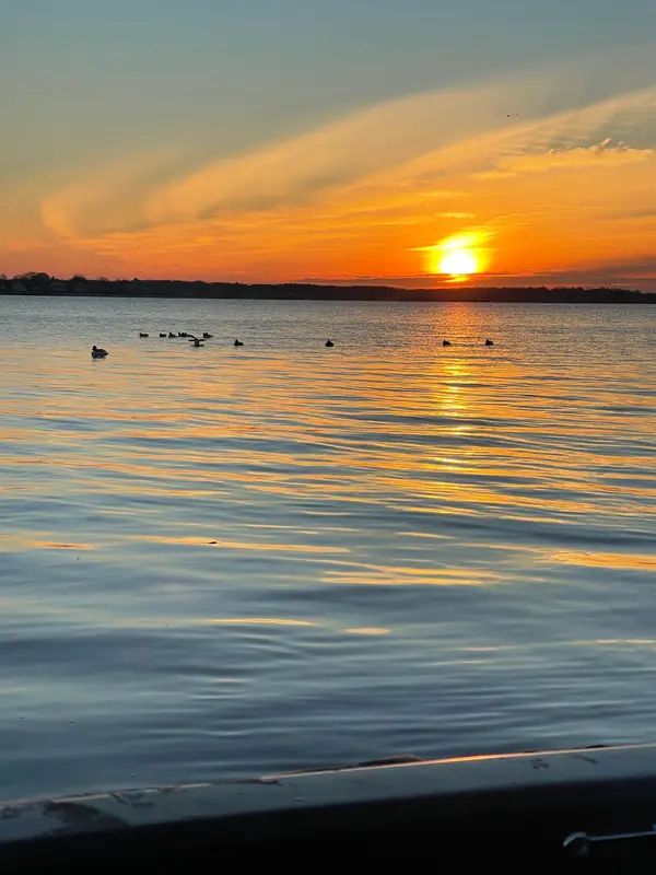 Big Game Waterfowl