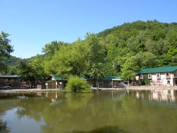 Big Rock Dude Ranch at Ponderosa LLC