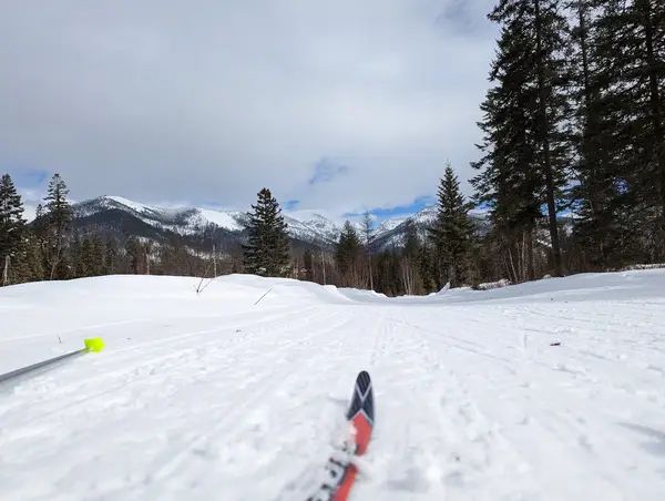 Bigfork Community Nordic Ski Trails