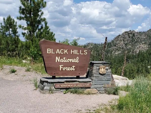 Black Hills National Forest OHV