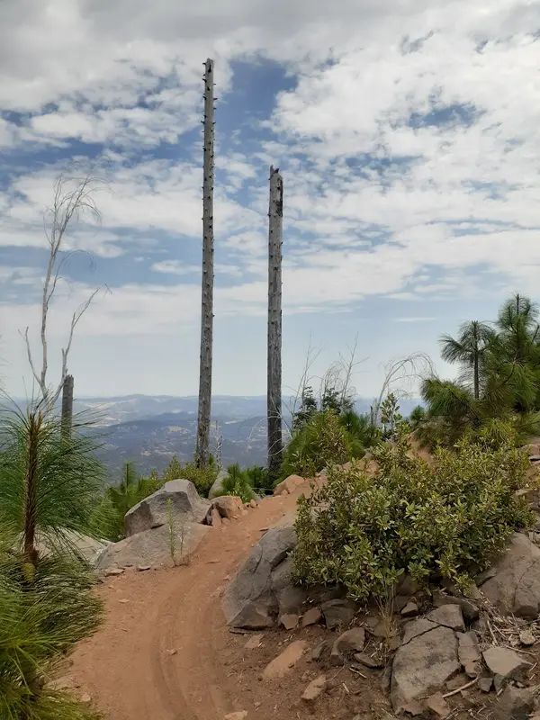 Boggs Mountain Demonstration State Forest