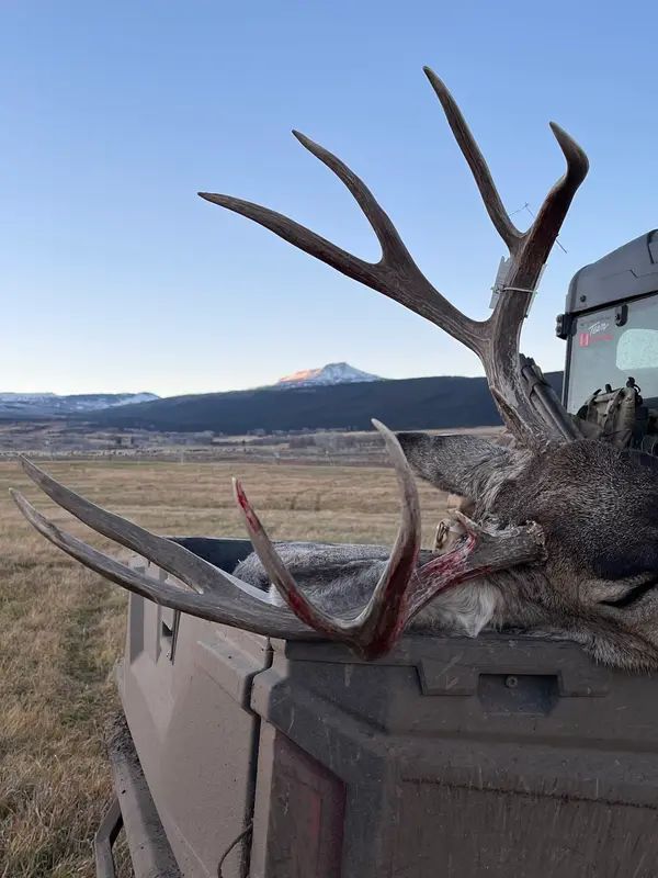 Bull Basin Outfitters