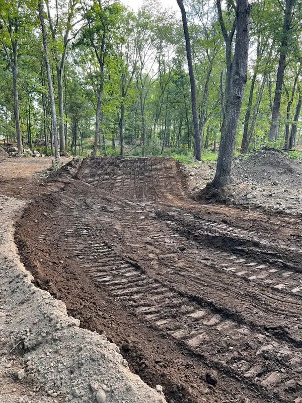 Buttonwoods MX