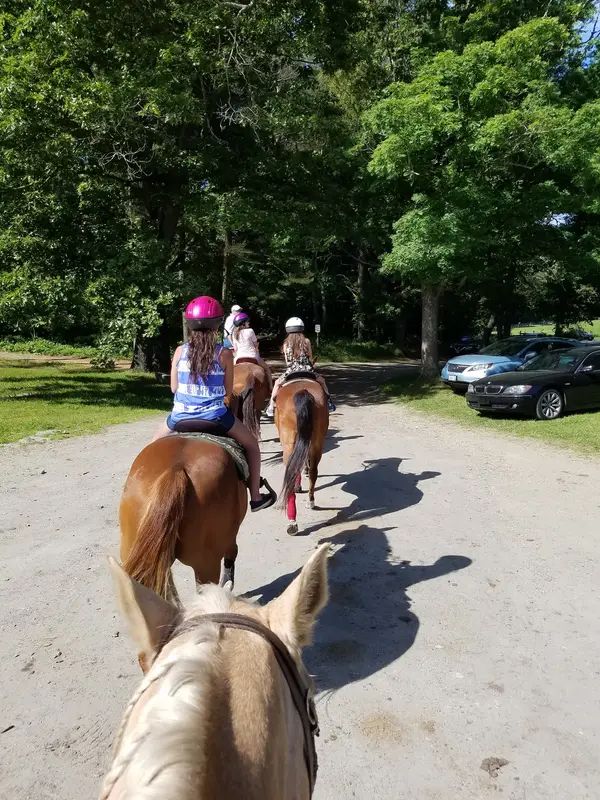 C and L Stables