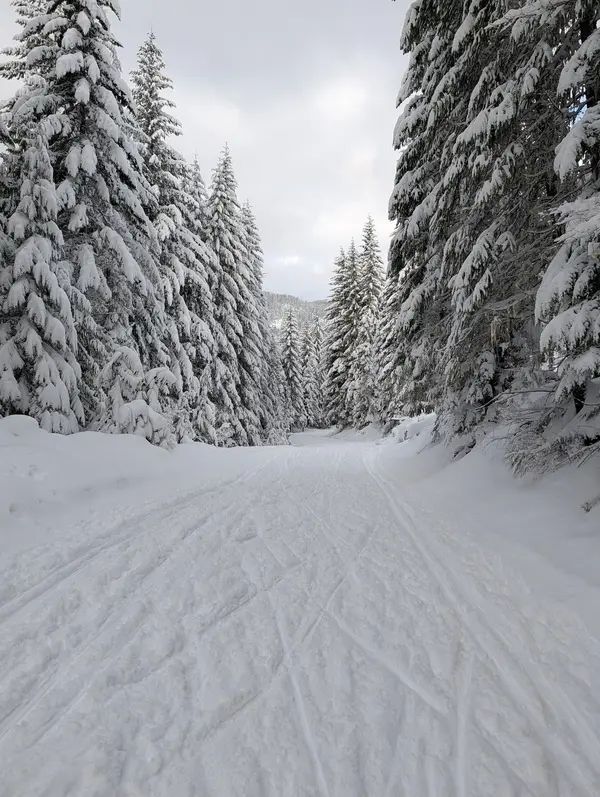 Cabin Creek Sno-Park